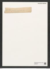 Pyxilla sp. (de-Toni-Nr.: Genus 164) Zeichnungen Sammlung Grunow (NHMW-BOT-W0377078)